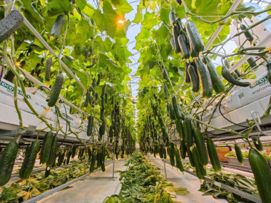 На Чукотке расширили меры поддержки для фермеров и участников СВО