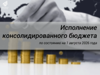 Исполнение консолидированного бюджета за 7 месяцев 2026 года