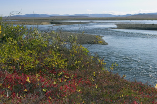 Спорные вопросы добычи водных биоресурсов обсудили власти Чукотки с главой СевВострыболовства в Анадыре
