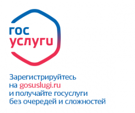 Более 89% жителей Чукотки пользуются порталом госуслуг