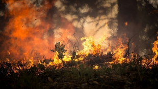 На Чукотке увеличили группировку сил и средств для тушения лесных пожаров