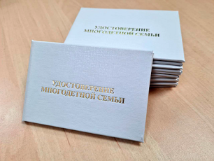 Новые условия по установлению статуса многодетной семьи
