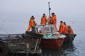 Губернатор Чукотки: необходимо доработать и исправить неточности  координат рыболовных участков