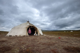 Фонды оплаты труда оленеводов на Чукотке выросли в среднем на 15%