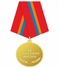 Юные жители Чукотки награждены медалями «За спасение жизни»