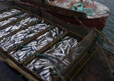 На Чукотке ввели режим проходных дней для рыбаков