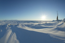 Международные исследователи Арктики собрались на конференции в Анадыре