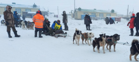 Каюры прошли первый этап гонки на собачьих упряжках «Надежда-2022» на Чукотке