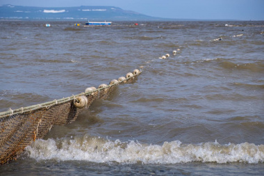 Для представителей КМНЧ распределили квоты на вылов водных биоресурсов в 2023 году 