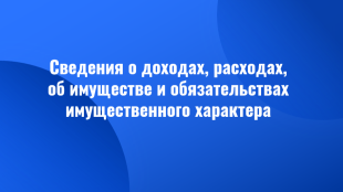 О представлении сведений о доходах вновь избранными депутатами