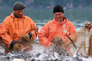 Резиденты ТОР и СПВ участвуют в развитии рыбной отрасли Дальнего Востока.