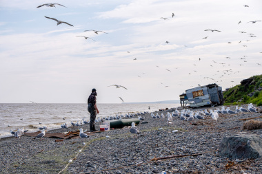 На Чукотке утвердили квоты на вылов корюшки и гольца в 2026 году