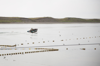 Крупнейшее рыбоперерабатывающее предприятие Чукотки намерено произвести 600 тонн лососевой продукции