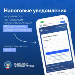 Земельный, транспортный и налог на имущество должны заплатить жители Чукотки до 1 декабря