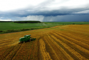 46% получателей «дальневосточных гектаров» выбрали сельскохозяйственную и предпринимательскую деятельность