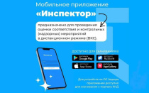 Цифровизация контрольно-надзорной деятельности Чукотки