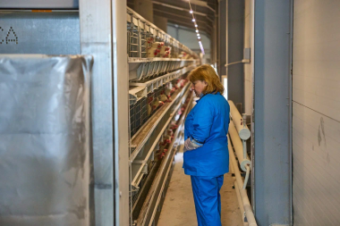 Предприятия территорий опережающего развития, свободного порта Владивосток и Арктической зоны работают для дальневосточников в новогодние праздники