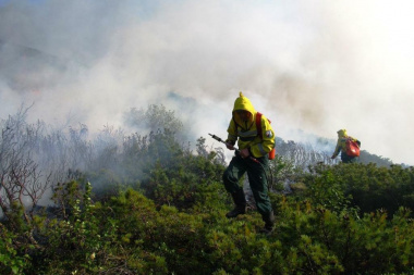 Десантники-пожарные Чукотки с начала летнего сезона ликвидировали лесные пожары на территории более 10 тысяч гектар