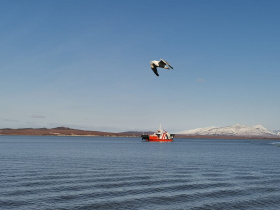 Новый участок для любительского рыболовства появится в акватории Анадырского лимана