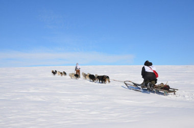  На Чукотке подвели итоги гонки на собачьих упряжках «Надежда-2023»  посвященной памяти героев СВО