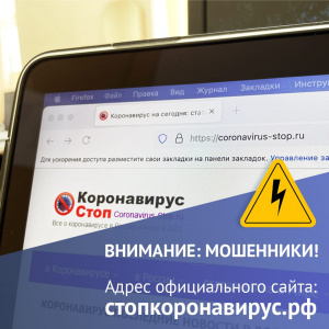 Жителей Чукотки предупреждают о двойниках правительственного сайта стопкоронавирус.рф