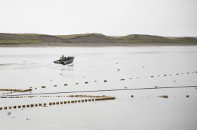 Новый резидент ТОР «Чукотка» откроет цех по переработке рыбы и оленины