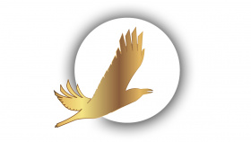 Открыт прием заявок на VII Арктический международный кинофестиваль «Золотой ворон»