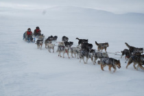 Традиционная чукотская гонка на собачьих упряжках «Надежда-2018» готовится к старту