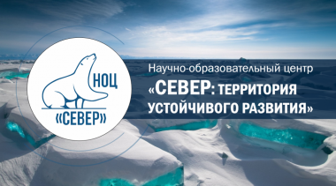 Чукотка стала одним из регионов-победителей с проектом «Север: территория устойчивого развития»