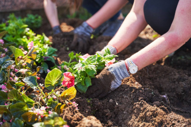 Межрайонный центр занятости Чукотского АО стал финалистом всероссийского конкурса